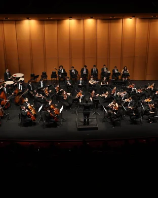 RSO Unwrapped