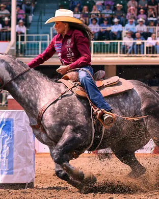 Calgary Stampede Rodeo