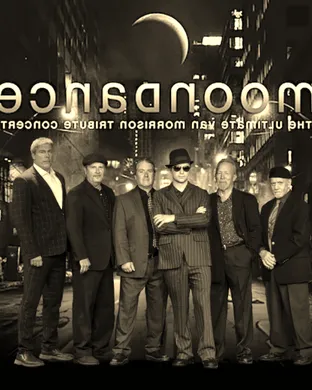 Moondance - Van Morrison Tribute